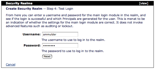 Console: Security Realm -- Test Login