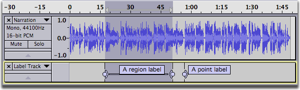 a mono track with a label track, a region label and a point label