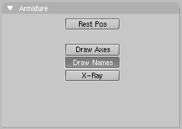 Draw options for Armatures