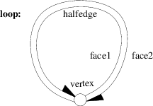 Loop Example