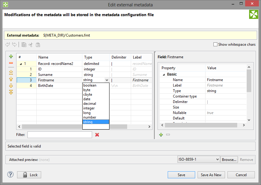 Metadata Editor for a Delimited File