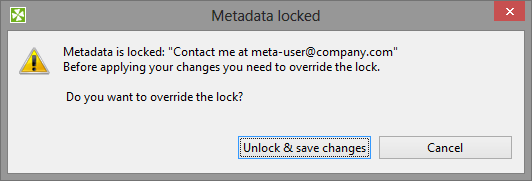 Accessing a locked graph element - you can add any text you like to describe the lock.