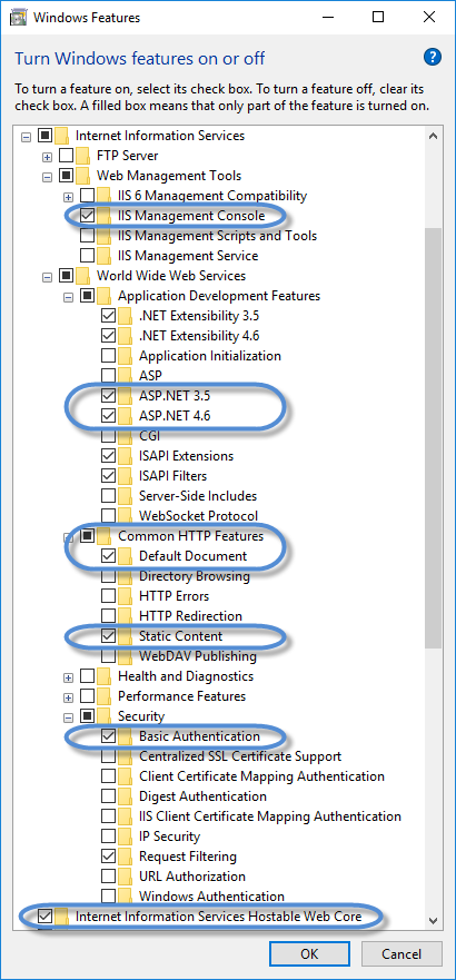 IIS options to turn on