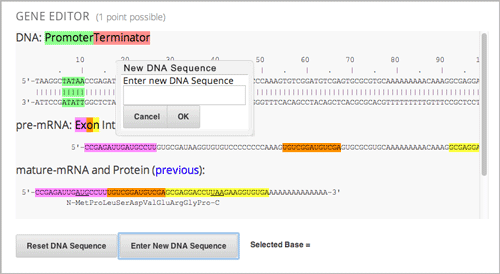 Image of the gene explorer.