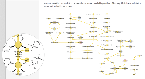 Example zooming image tool showing a chemistry exercise.