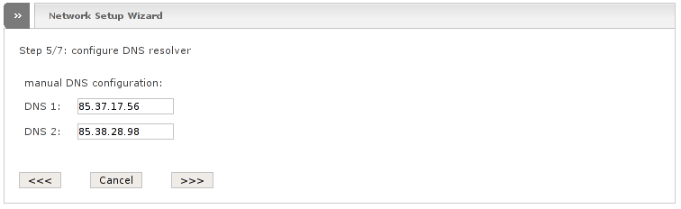 Network wizard showing step 5: configure DNS resolver