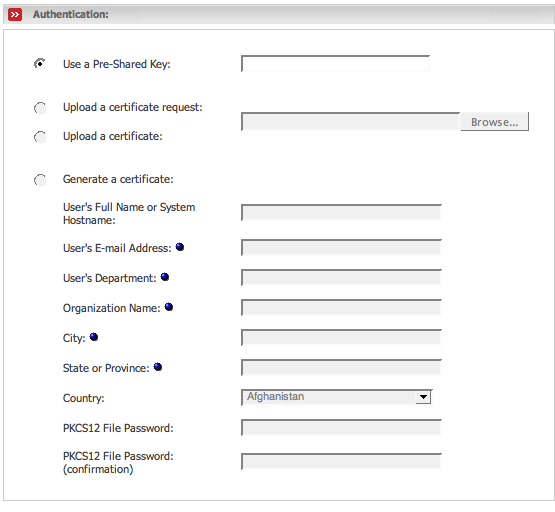 VPN authentication input