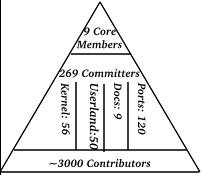 The FreeBSD Project's structure with committers in categories