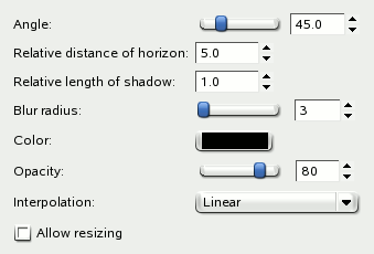 Perspective options