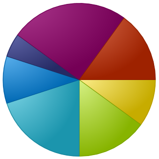 A typical pie chart