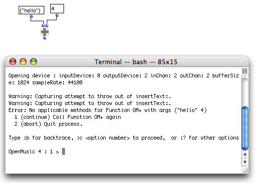 An error in the Mac OS system Terminal