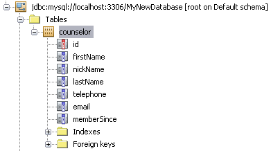 Counselor table displayed in Database Explorer