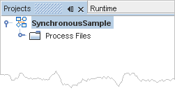 SynchronousSample project node in Projects window