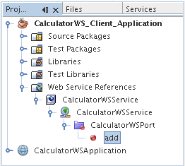New web service client in Java SE application displayed in the Projects window