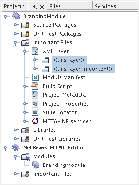 expanded xml layer