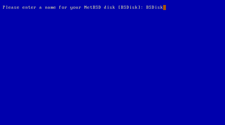 Naming the NetBSD disk