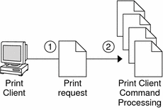 How the Print Client Software Locates Printers