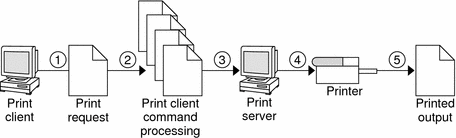 Overview of the Print Client Process