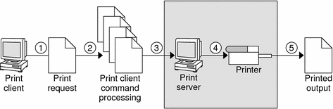 The Print Server Sends a Print Request to the Printer