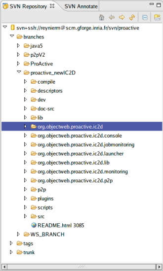 SVN Repository