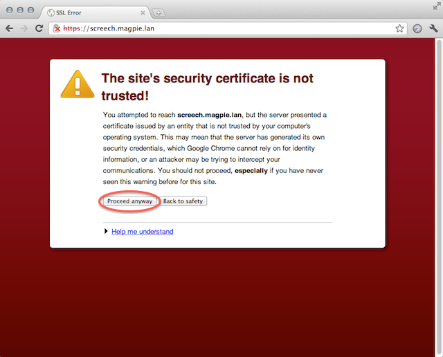 Screenshot: Chrome showing an untrusted cert warning, with the 'Proceed anyway' button highlighted