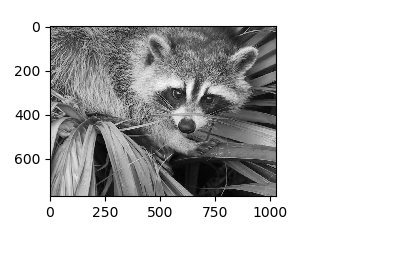 ../_images/sphx_glr_plot_face_compress_thumb.png