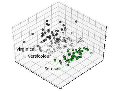 ../../_images/sphx_glr_plot_pca_iris_001.png