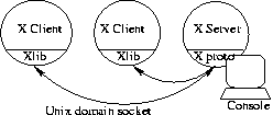 A diagram showing two clients communicating
through their Xlib code to the Xprotocol of a single Xserver