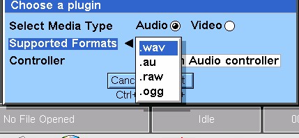 Choosing a format when recording audio