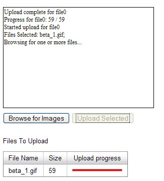 Advanced Uploader Example Screenshot